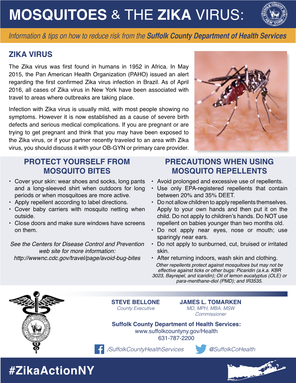 Mosquitoes & the Zika Virus