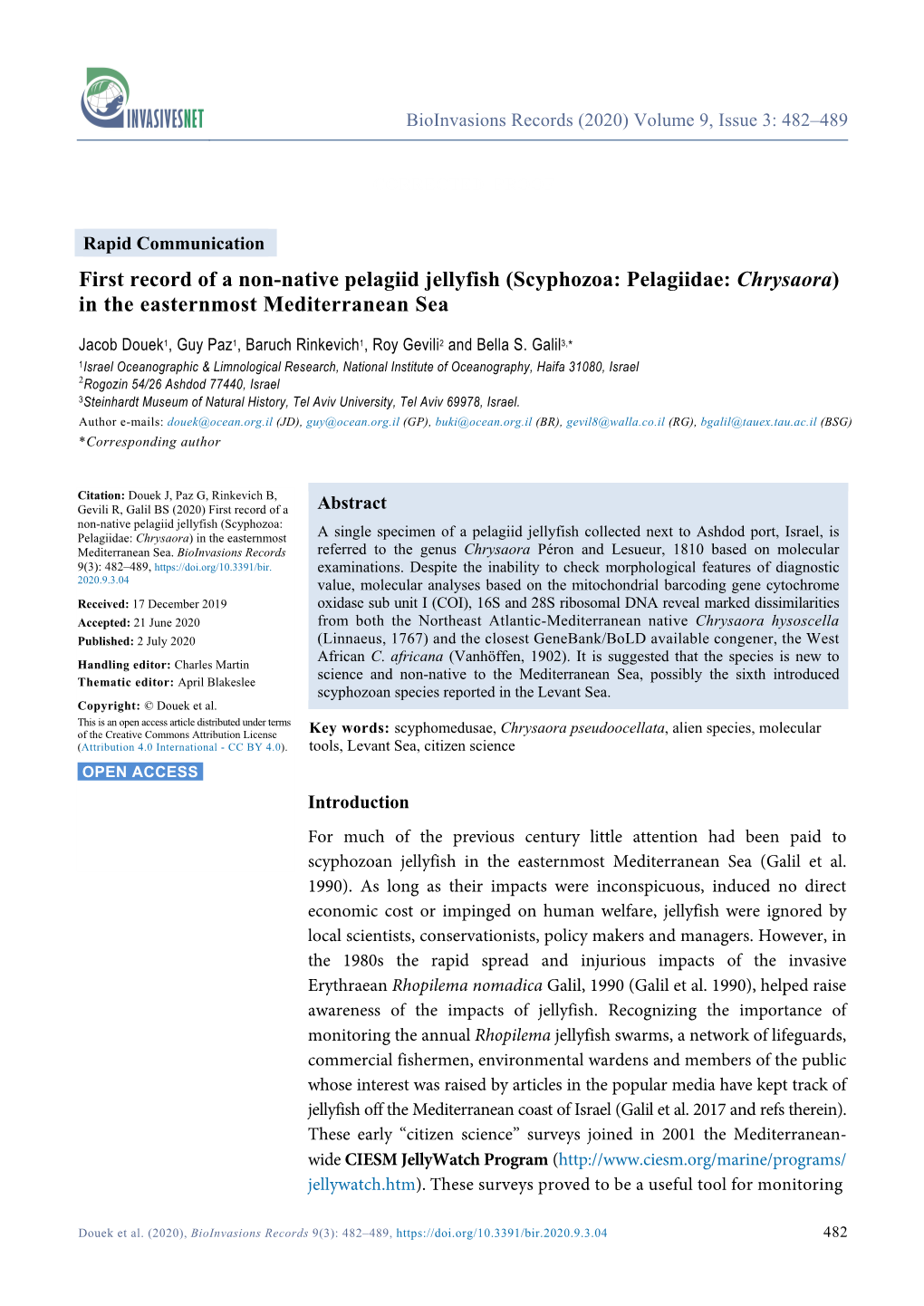 Scyphozoa: Pelagiidae: Chrysaora) in the Easternmost Mediterranean Sea