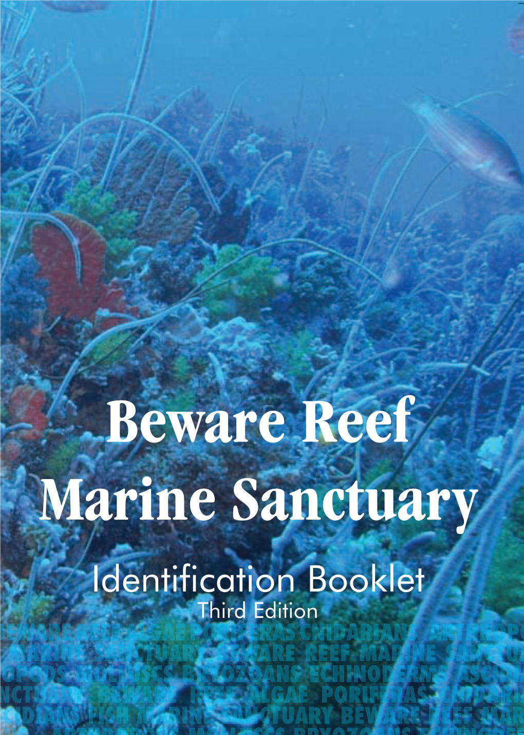 Beware Reef Marine Sanctuary Identification