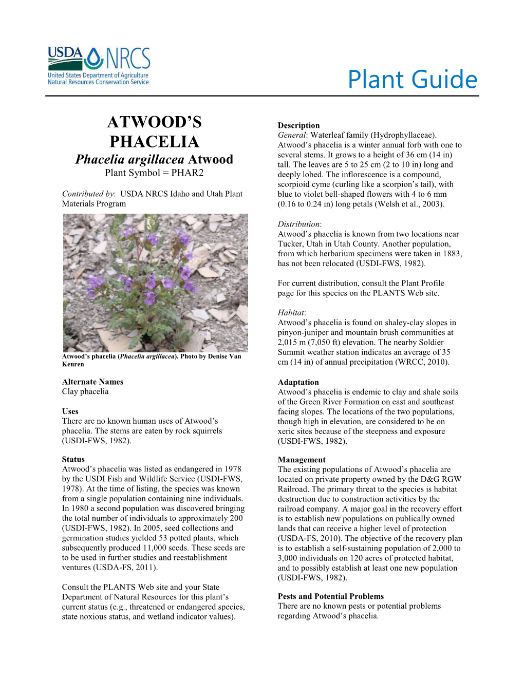 Plant Guide for Atwood's Phacelia (Phacelia Argillacea)