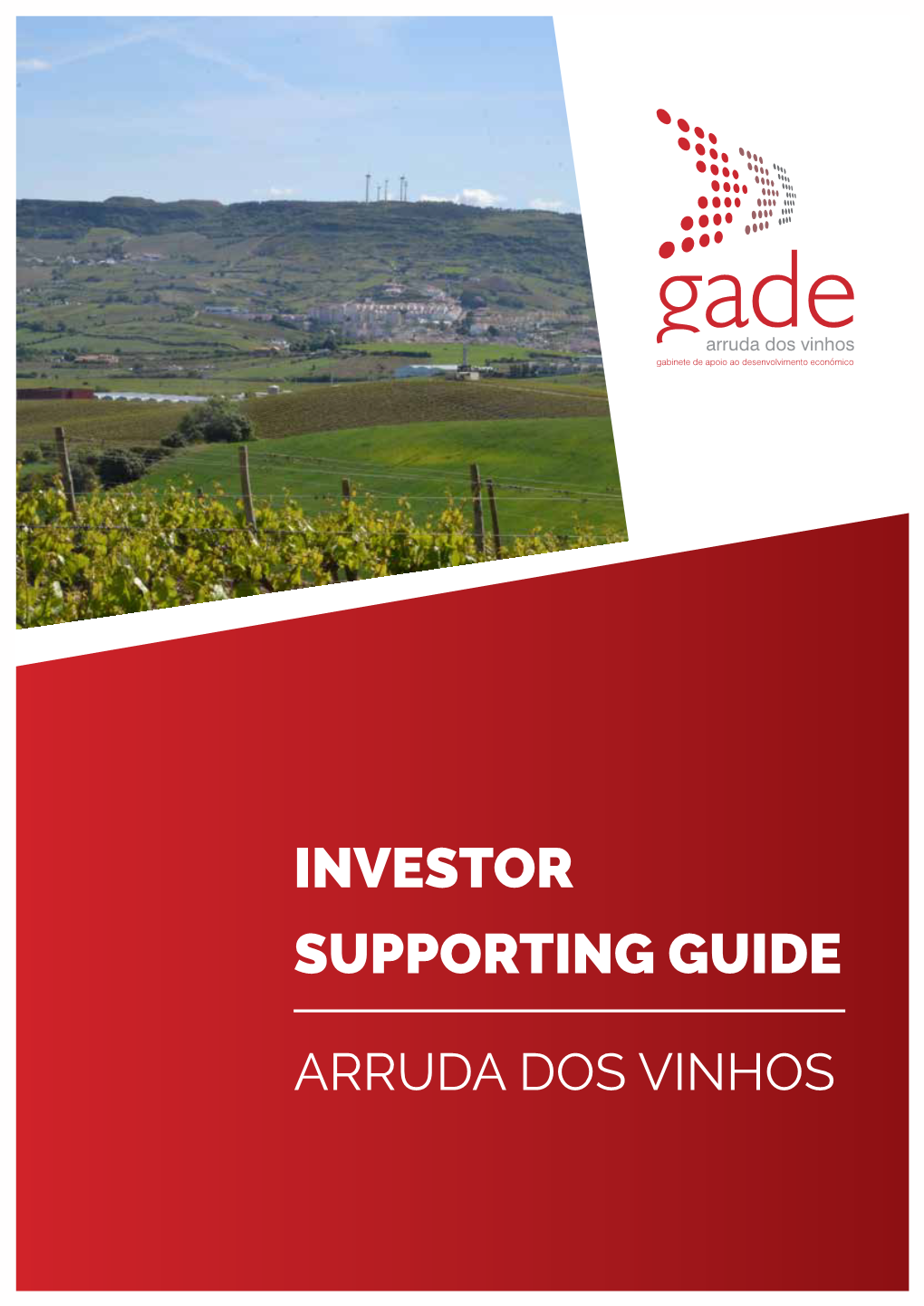 Investor Supporting Guide