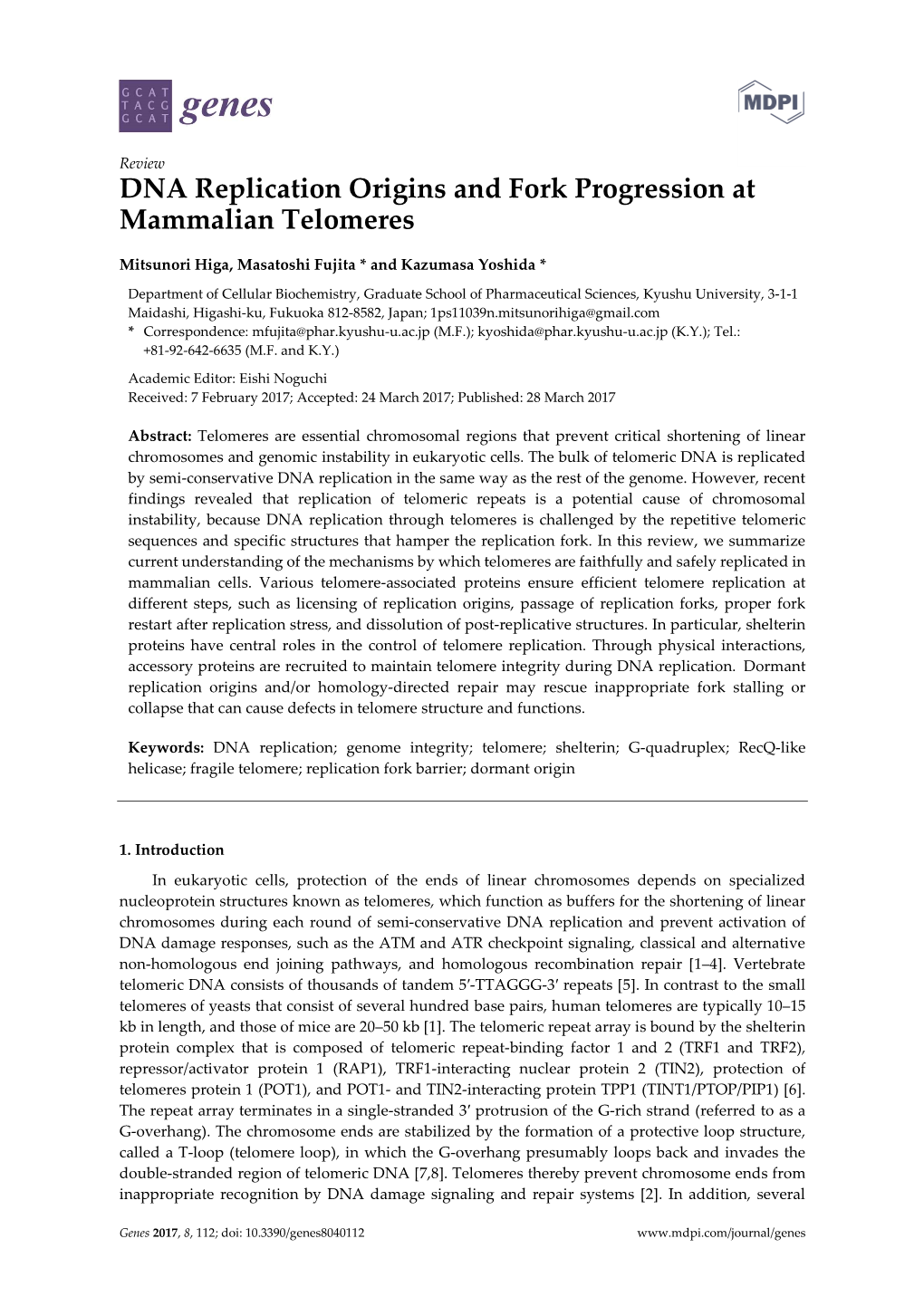 DNA Replication Origins and Fork Progression at Mammalian Telomeres