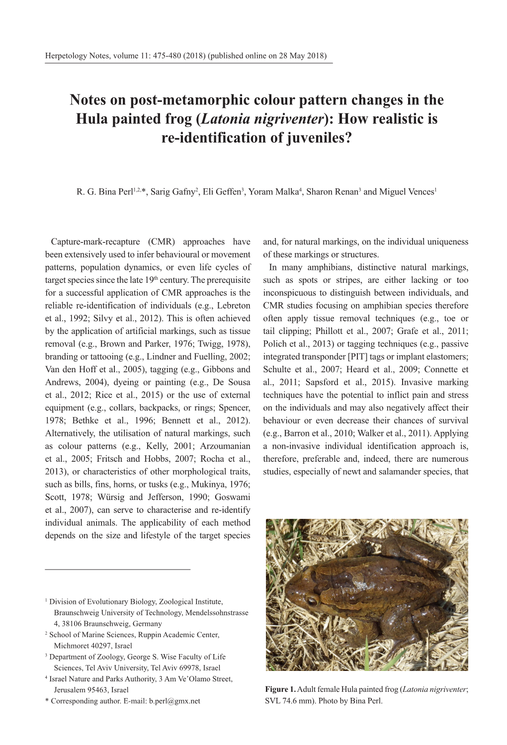 Notes on Post-Metamorphic Colour Pattern Changes in the Hula Painted Frog (Latonia Nigriventer): How Realistic Is Re-Identification of Juveniles?