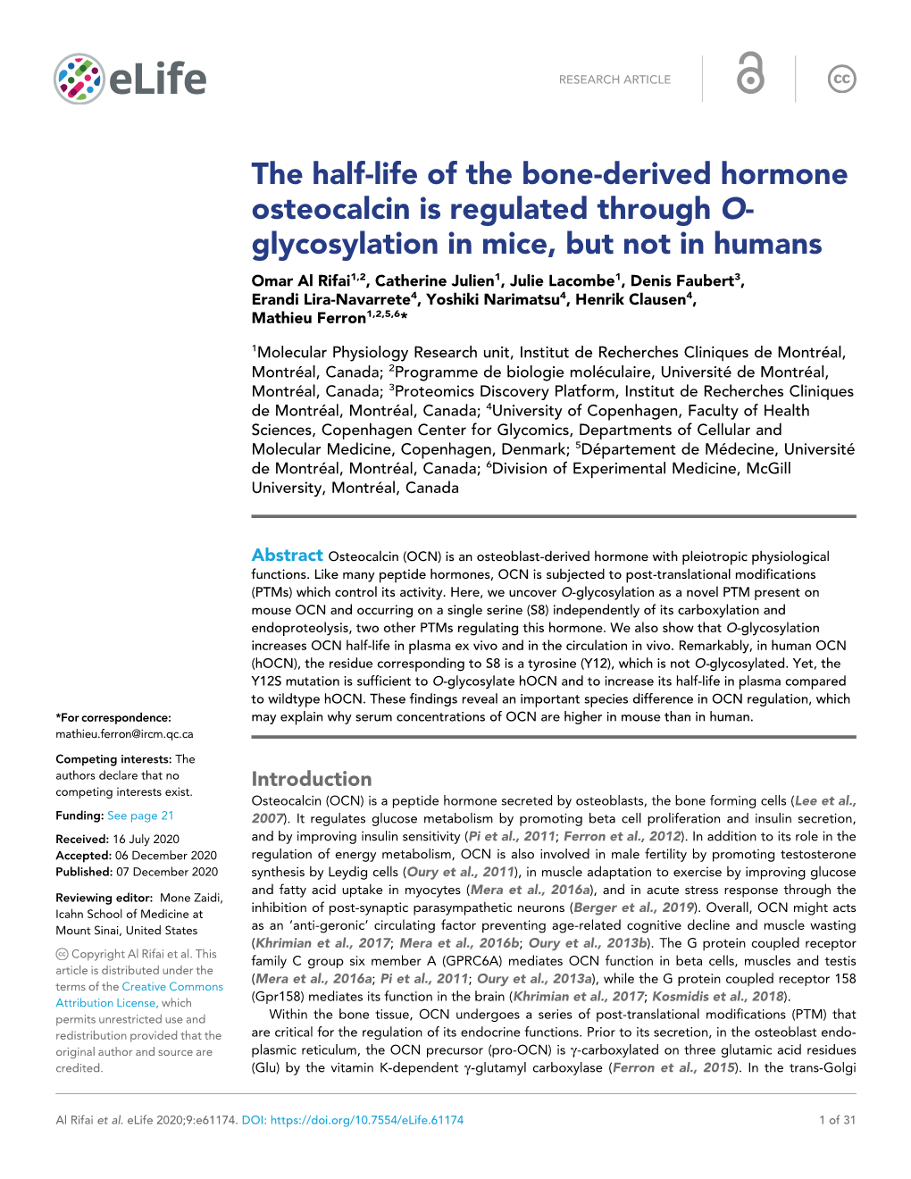 The Half-Life of the Bone-Derived Hormone Osteocalcin Is Regulated