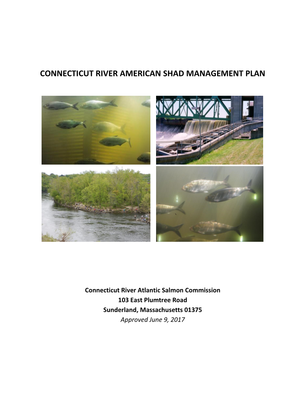 Connecticut River Shad Management Plan