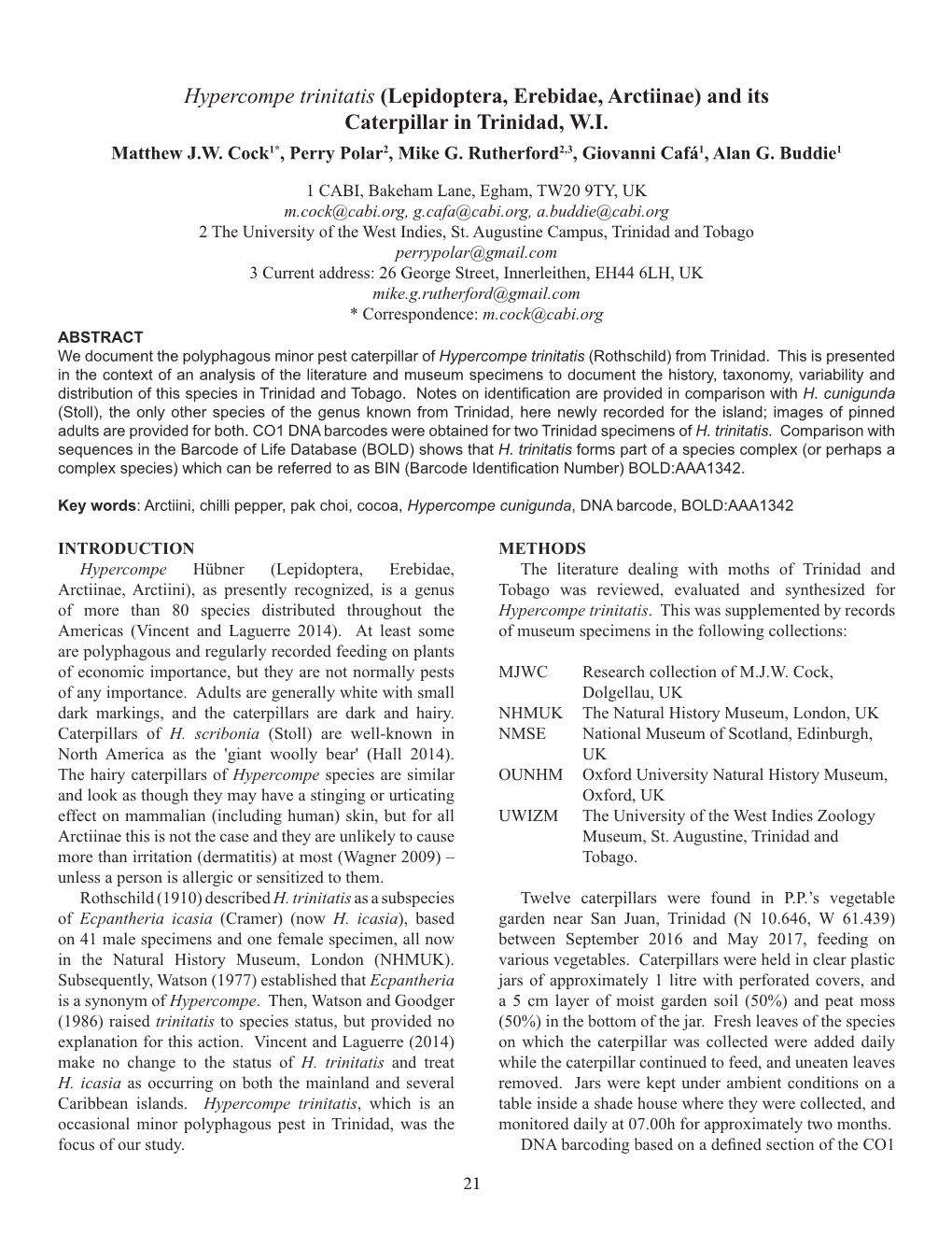 Hypercompe Trinitatis (Lepidoptera, Erebidae, Arctiinae) and Its Caterpillar in Trinidad, W.I