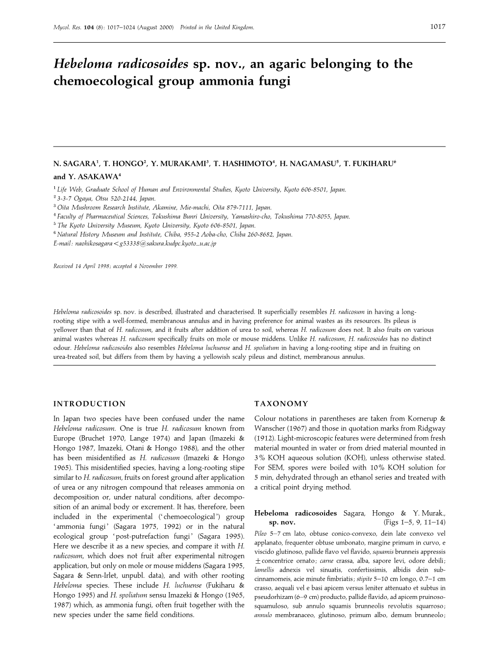 Hebeloma Radicosoides Sp. Nov., an Agaric Belonging to the Chemoecological Group Ammonia Fungi