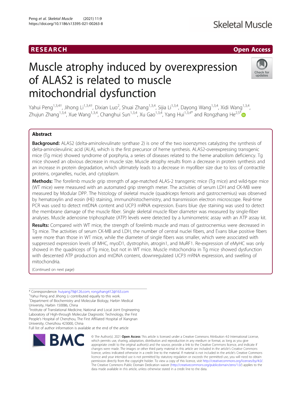 Muscle Atrophy Induced by Overexpression of ALAS2 Is Related