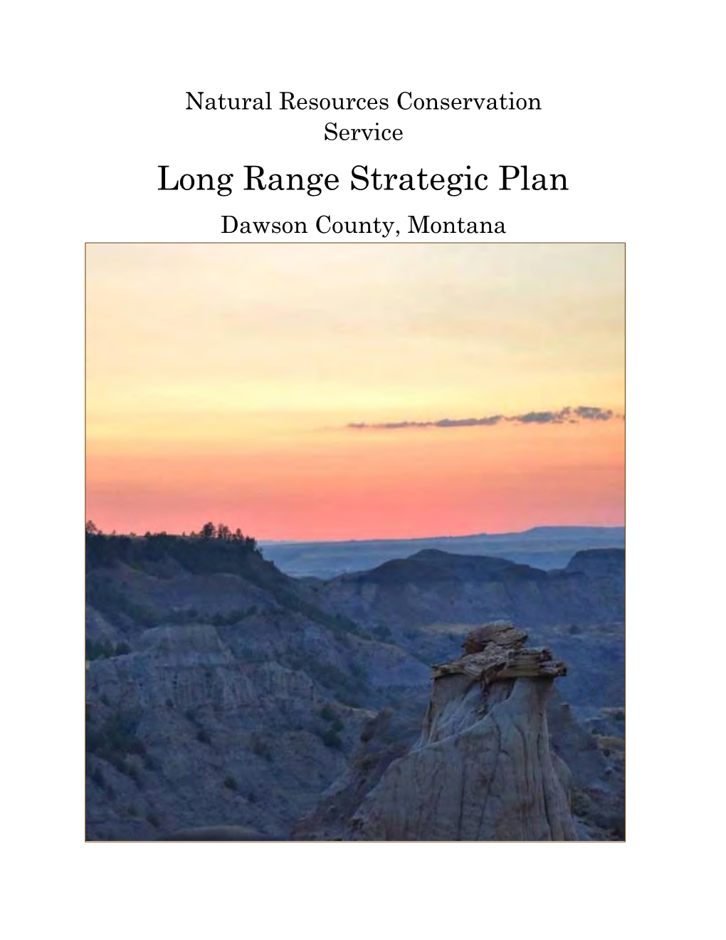 Dawson County Long Range Plan 2019