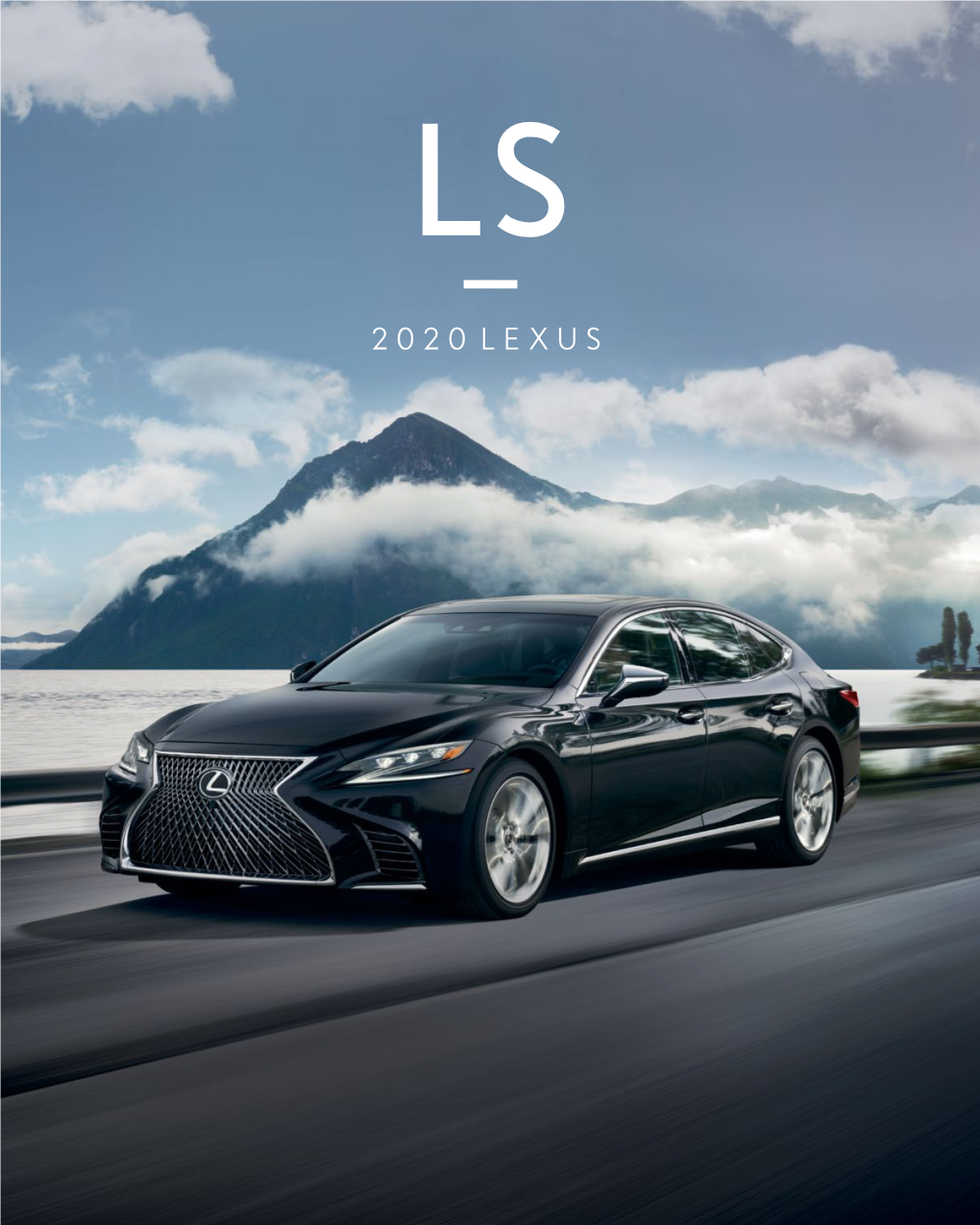Brochure for the 2020 LS