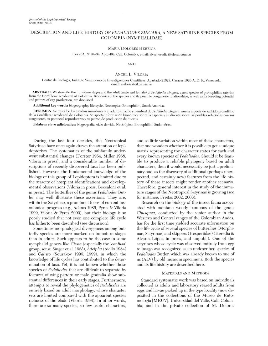 DESCRIPTION and LIFE HISTORY of PEDALIODES ZINGARA, a NEW SATYRINE SPECIES from COLOMBIA (NYMPHALIDAE) During the Last Four Deca