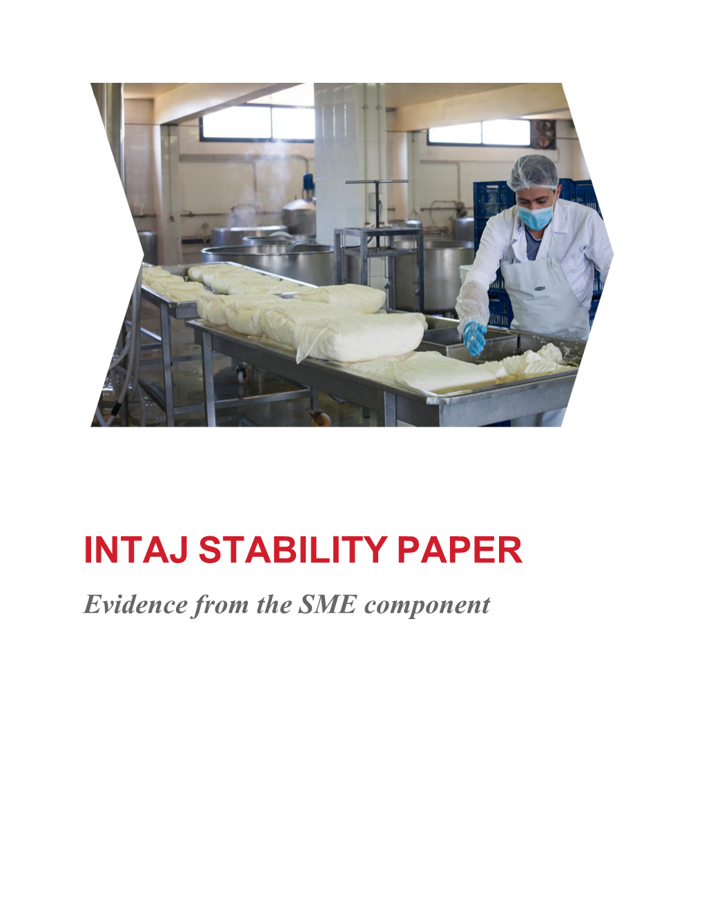 INTAJ STABILITY PAPER Evidence from the SME Component