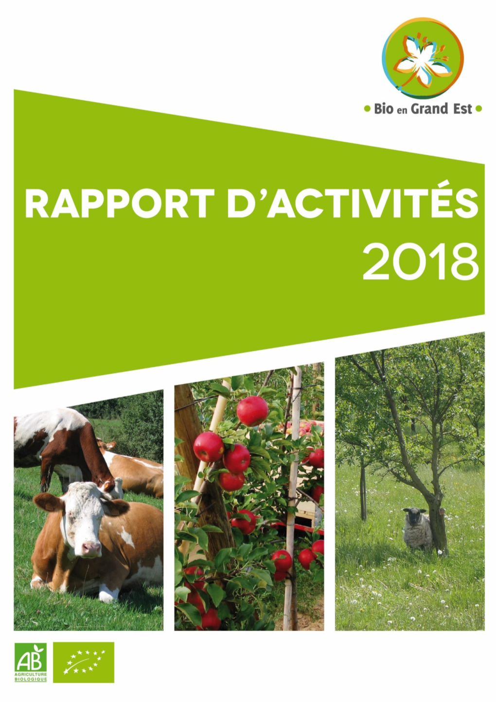 RAPPORT-ACTIVITES-2018.Pdf