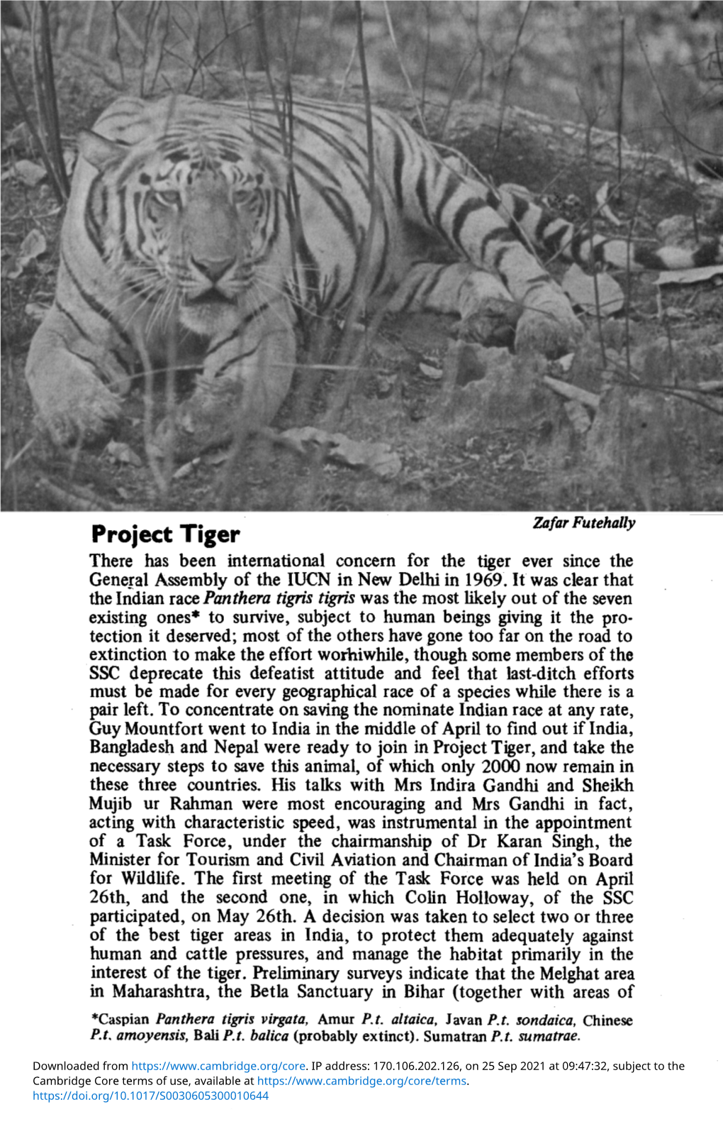 Project Tiger There Has Been International Concern for the Tiger Ever Since the General Assembly of the IUCN in New Delhi in 1969