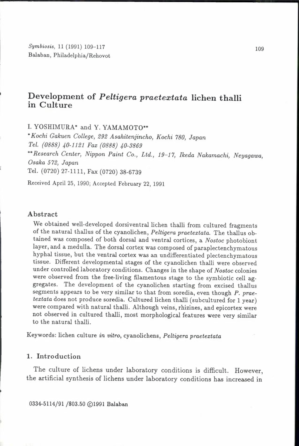 Development of Peltigera Praetextata Lichen Thalli in Culture