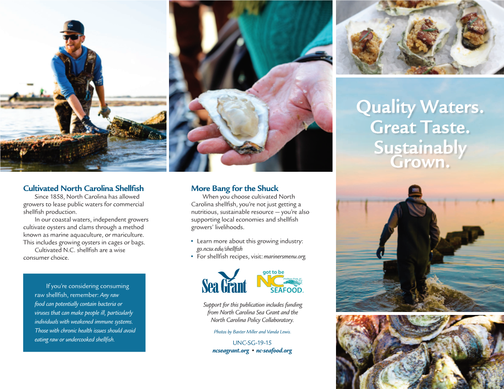 An Educational Shellfish Brochure