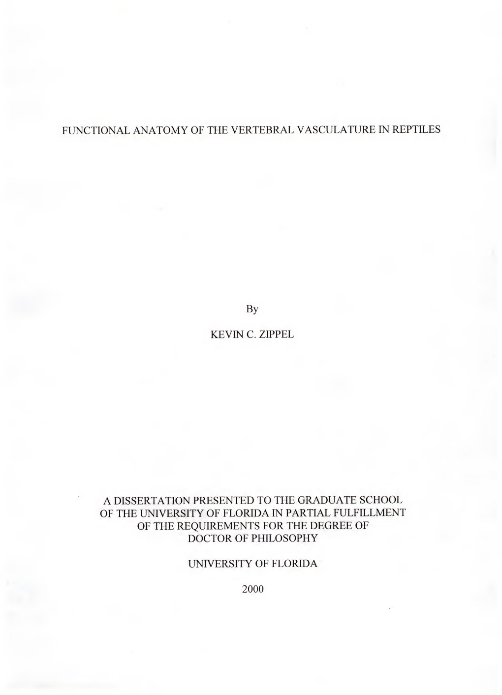 Functional Anatomy of the Vertebral Vasculature in Reptiles