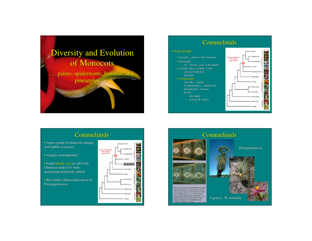 Diversity and Evolution of Monocots