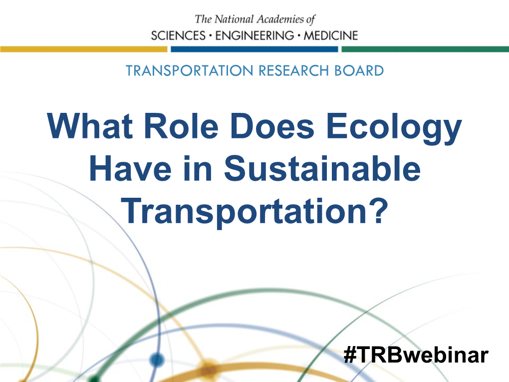 What Role Does Ecology Have in Sustainable Transportation?