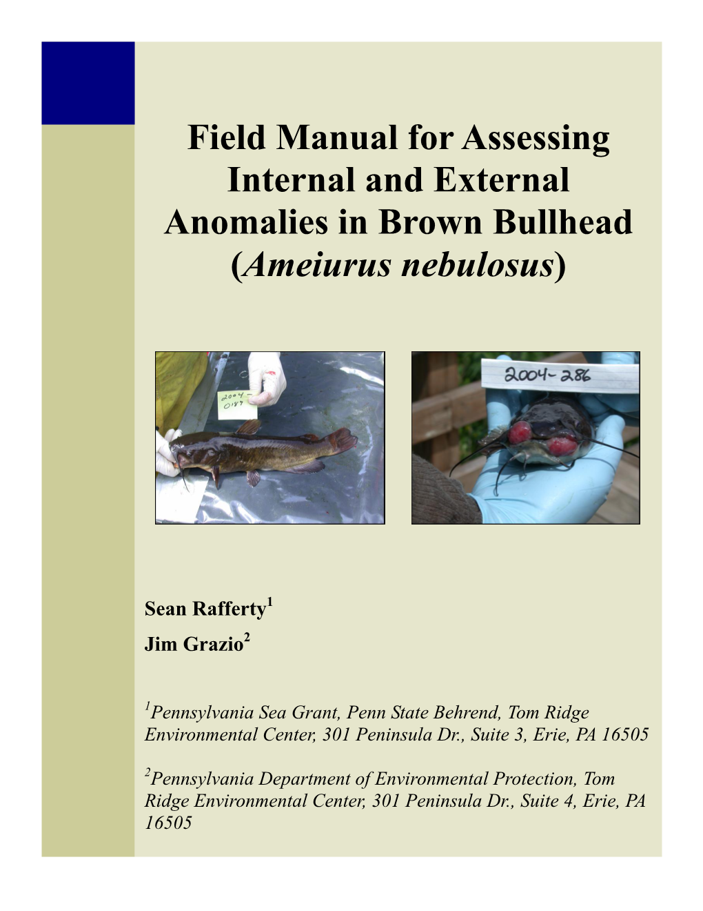 Field Manual for Assessing Internal and External Anomalies in Brown Bullhead (Ameiurus Nebulosus)