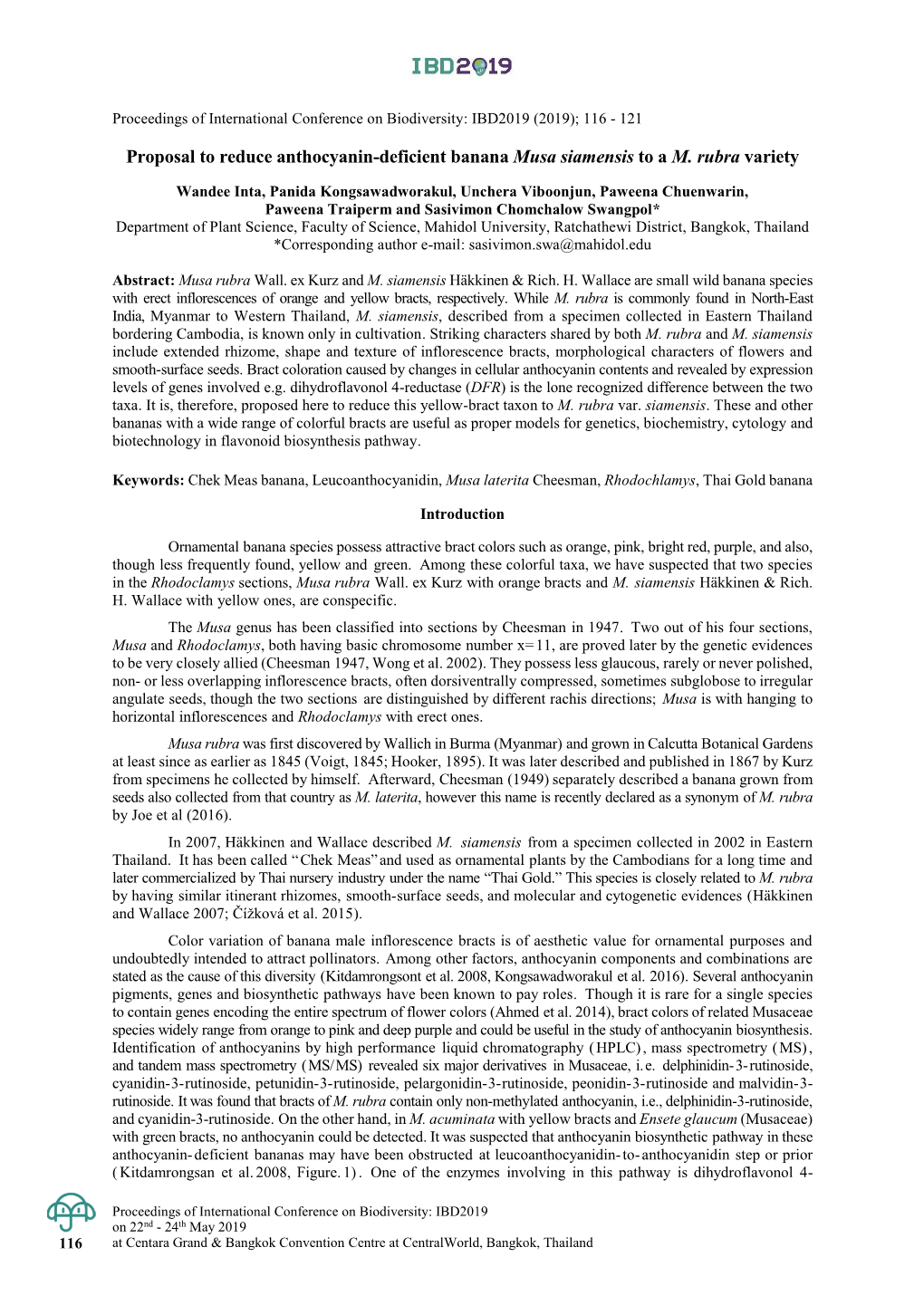 Proposal to Reduce Anthocyanin-Deficient Banana Musa Siamensis to a M