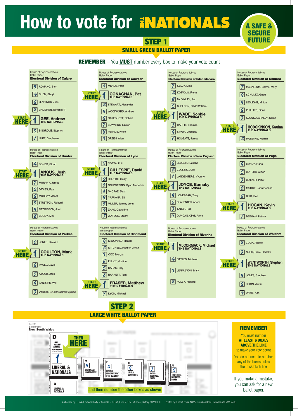 How to Vote for a SAFE & SECURE STEP 1 FUTURE SMALL GREEN BALLOT PAPER