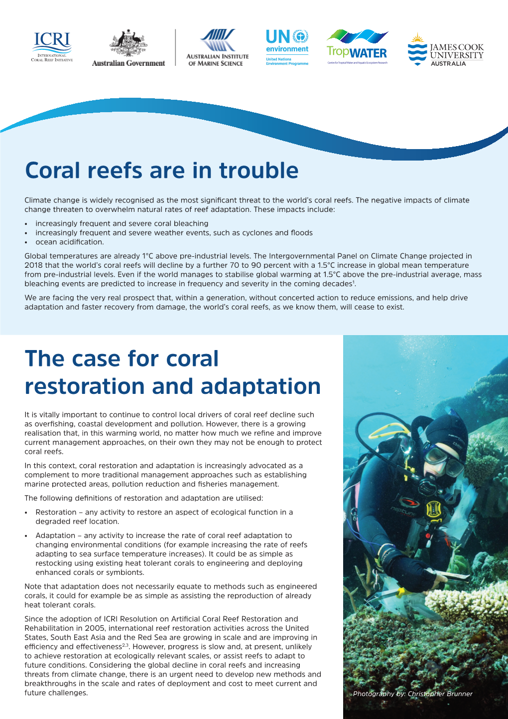 Coral Reefs Are in Trouble the Case for Coral Restoration and Adaptation