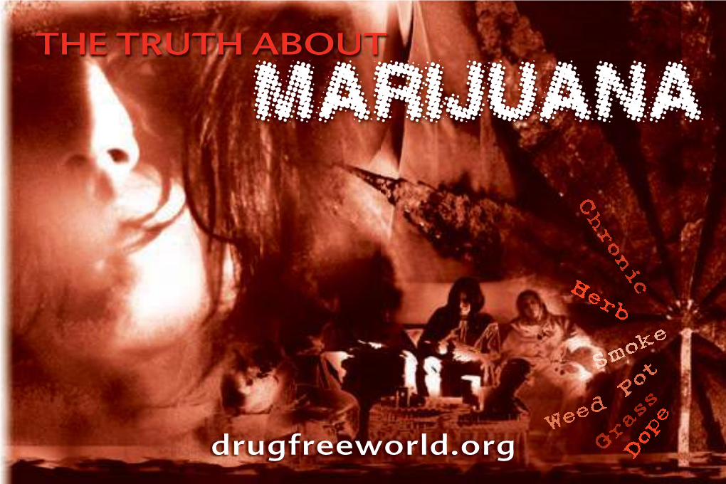 The Truth About Marijuana