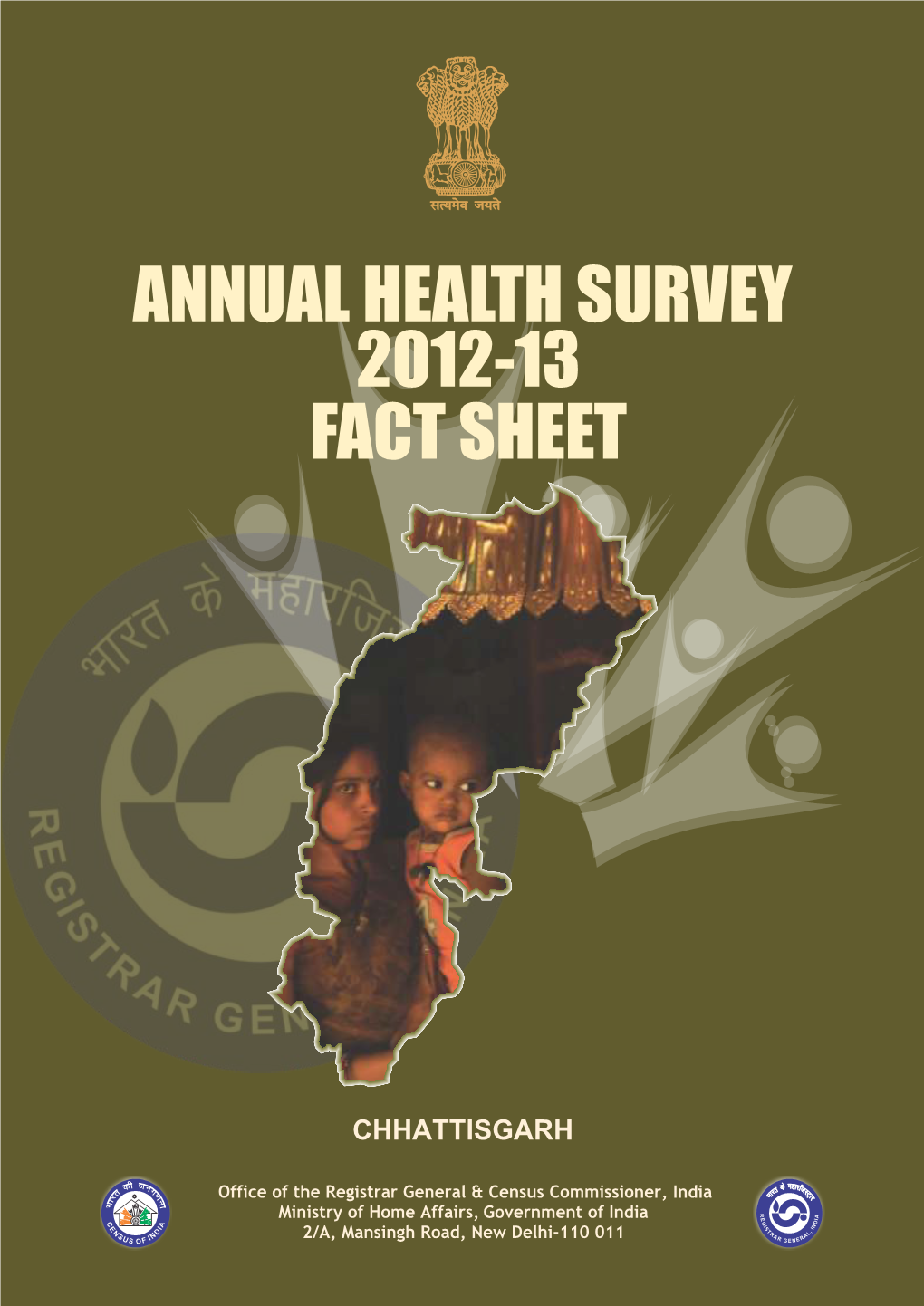Annual Health Survey 2012-13 Fact Sheet