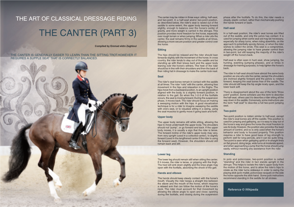 The Art of Classical Dressage Riding the Canter Part 3