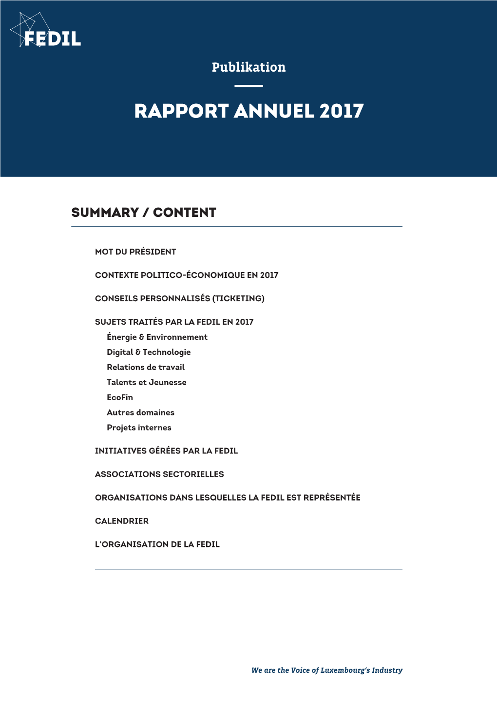Rapport Annuel 2017