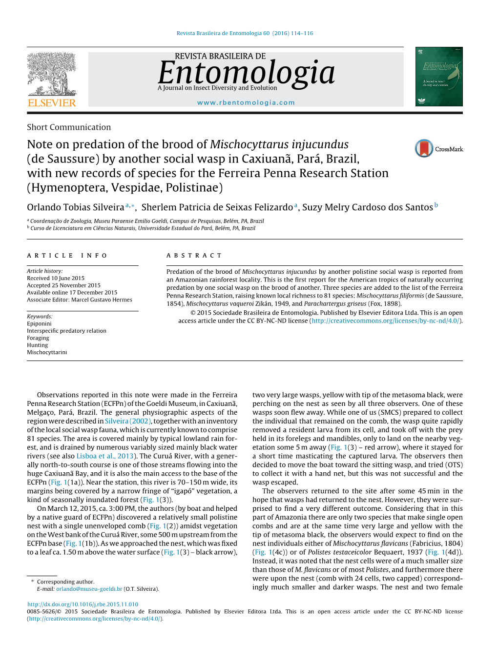 Note on Predation of the Brood of Mischocyttarus Injucundus