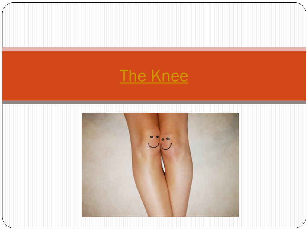 The Knee Knee Joint  “Modified” Hinge Joint  Movement in Flexion/Extension  Some Internal/External Tibia Rotation