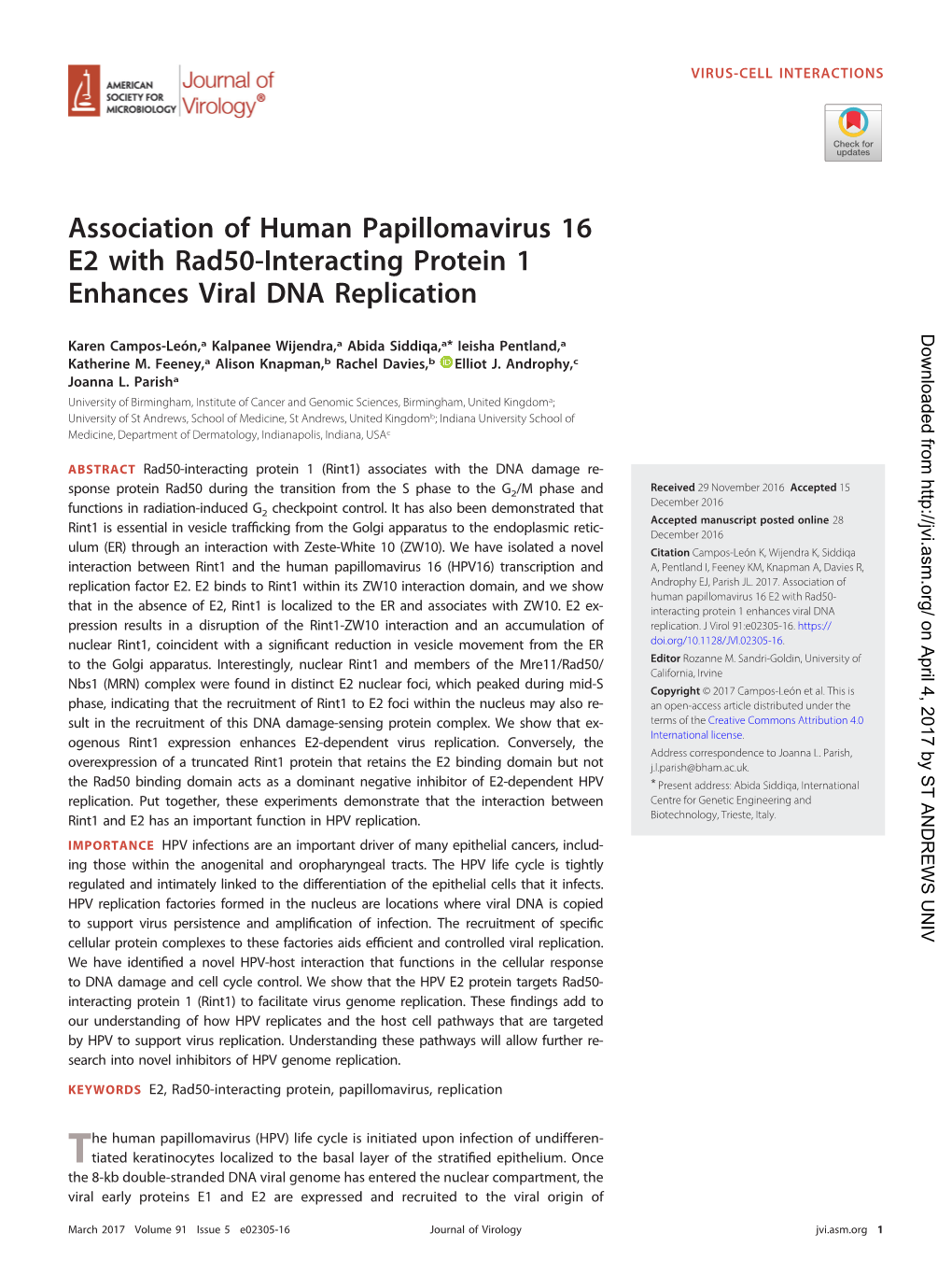 Association of Human Papillomavirus 16 E2 with Rad50-Interacting