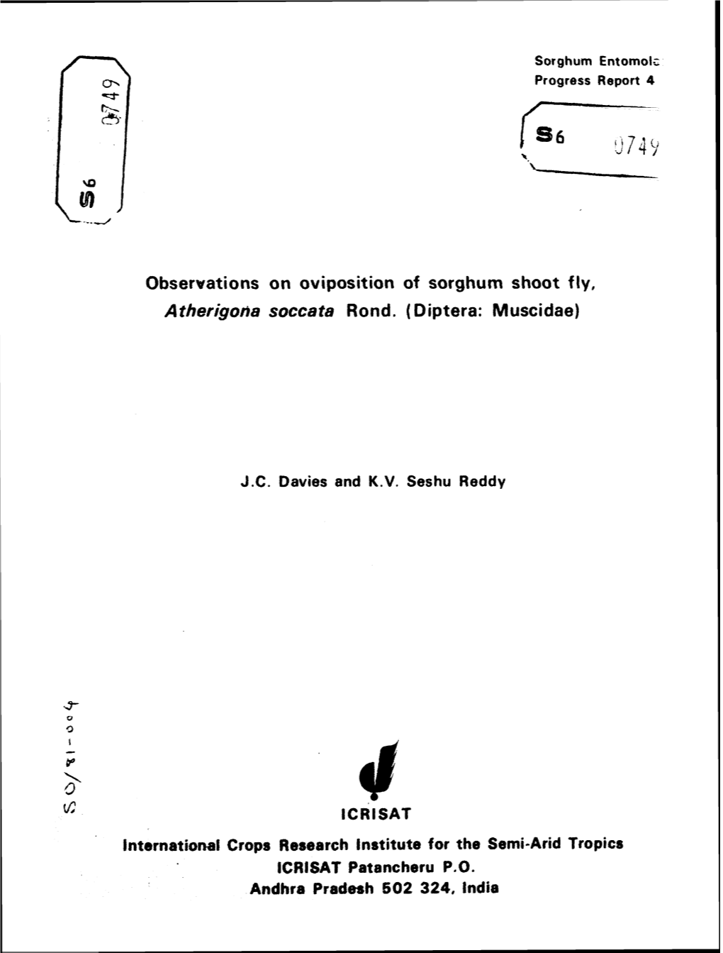 Atherigona Soccata Rond. ( Diptera: Muscidae)