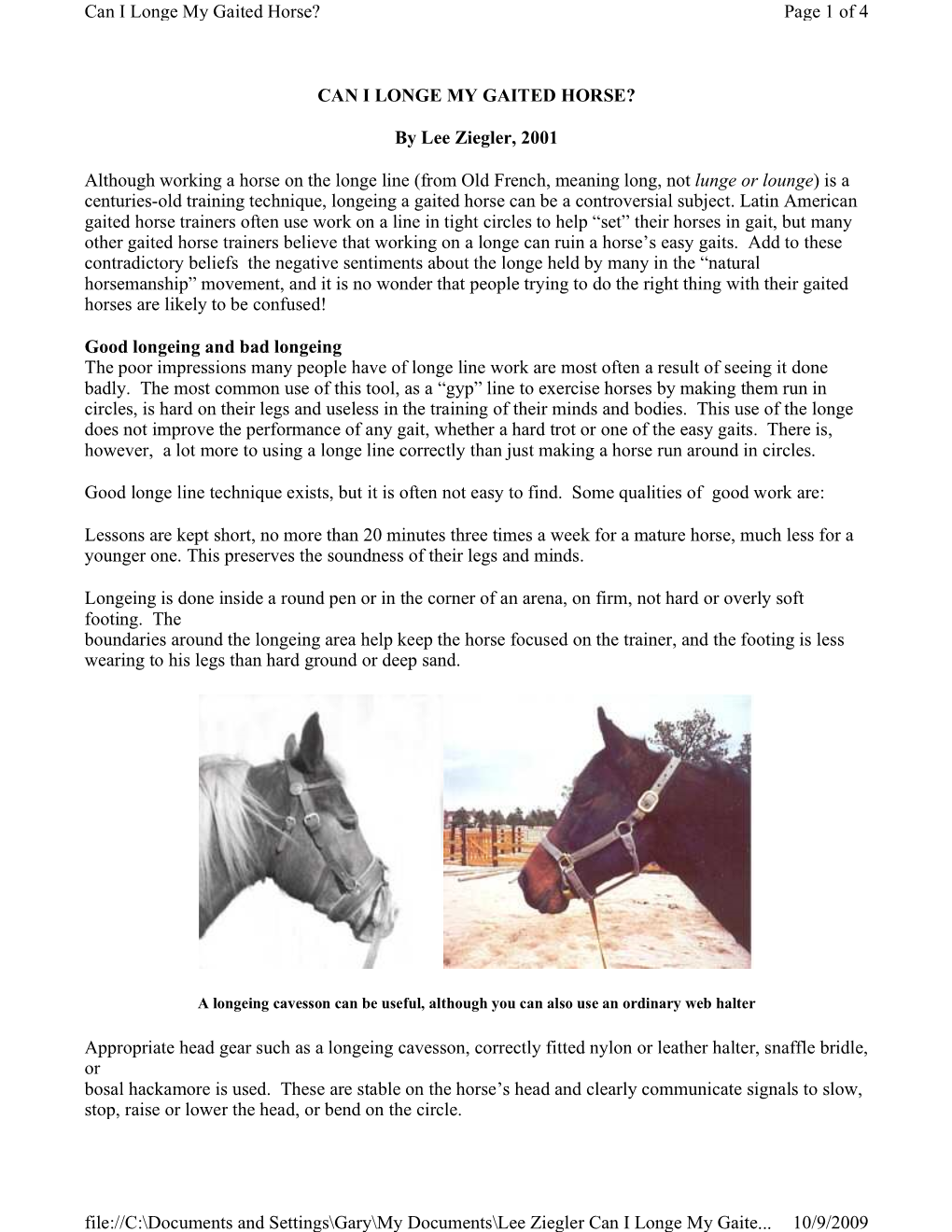 Can I Longe My Gaited Horse? Page 1 of 4