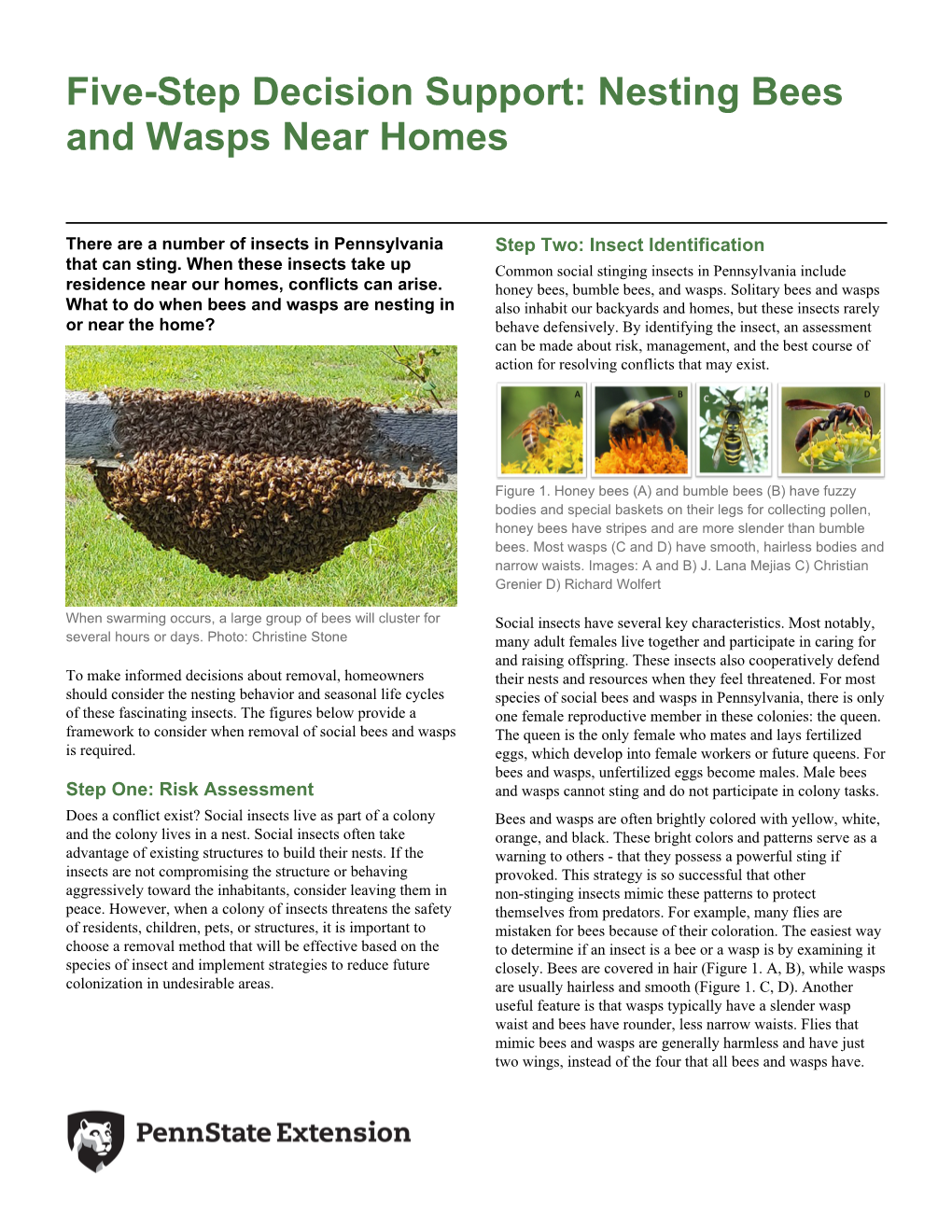 Nesting Bees and Wasps Near Homes