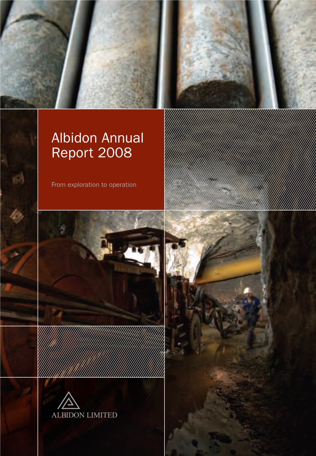 Albidon Annual Report 2008