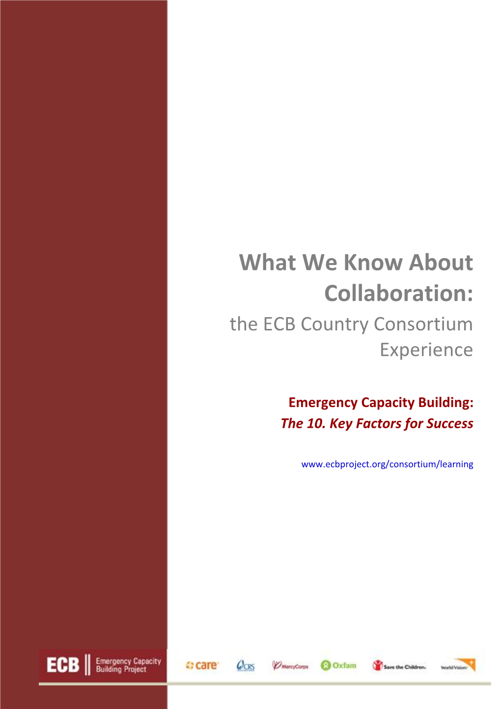 What We Know About Collaboration: the ECB Country Consortium Experience
