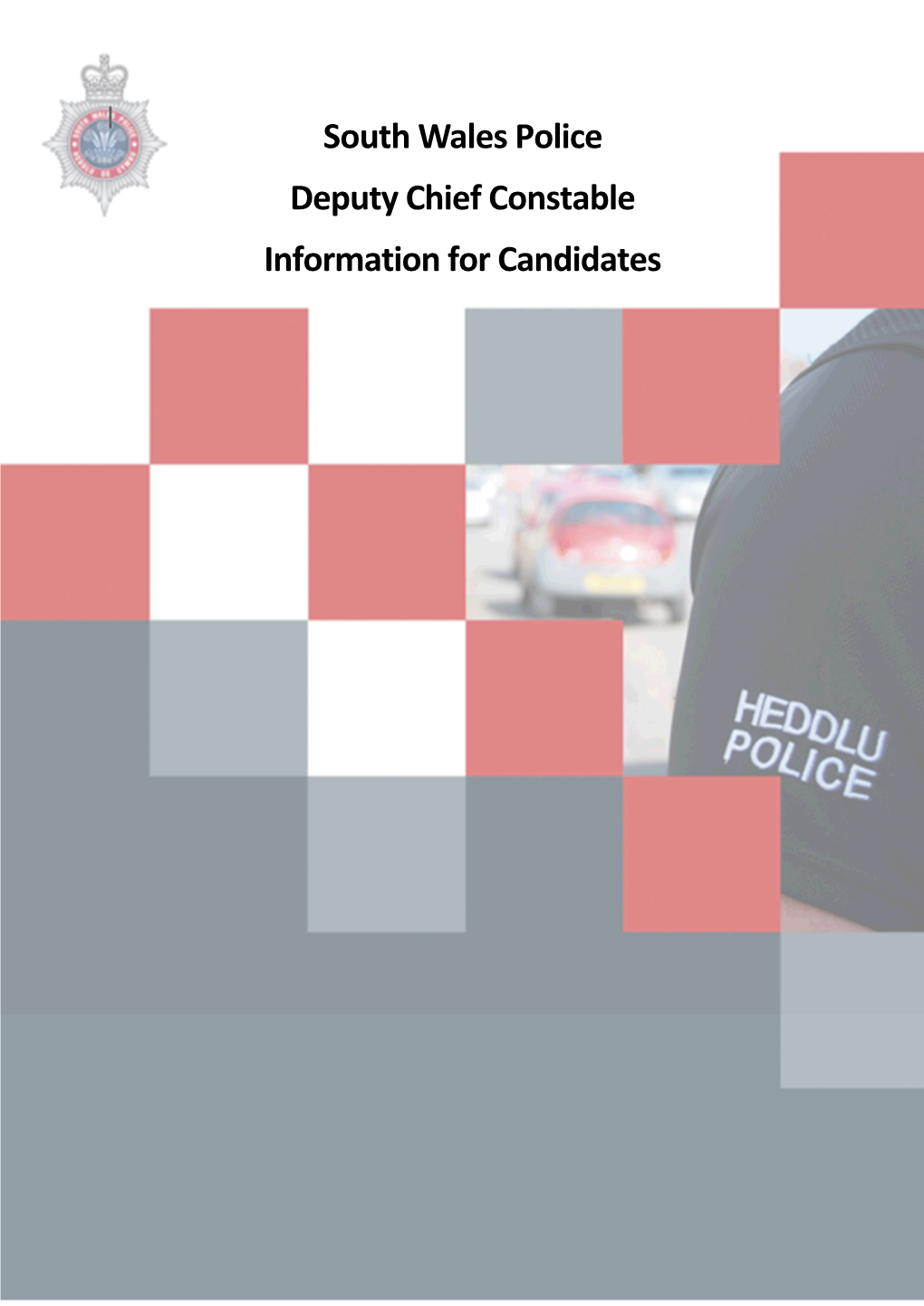 South Wales Police Deputy Chief Constable Information for Candidates