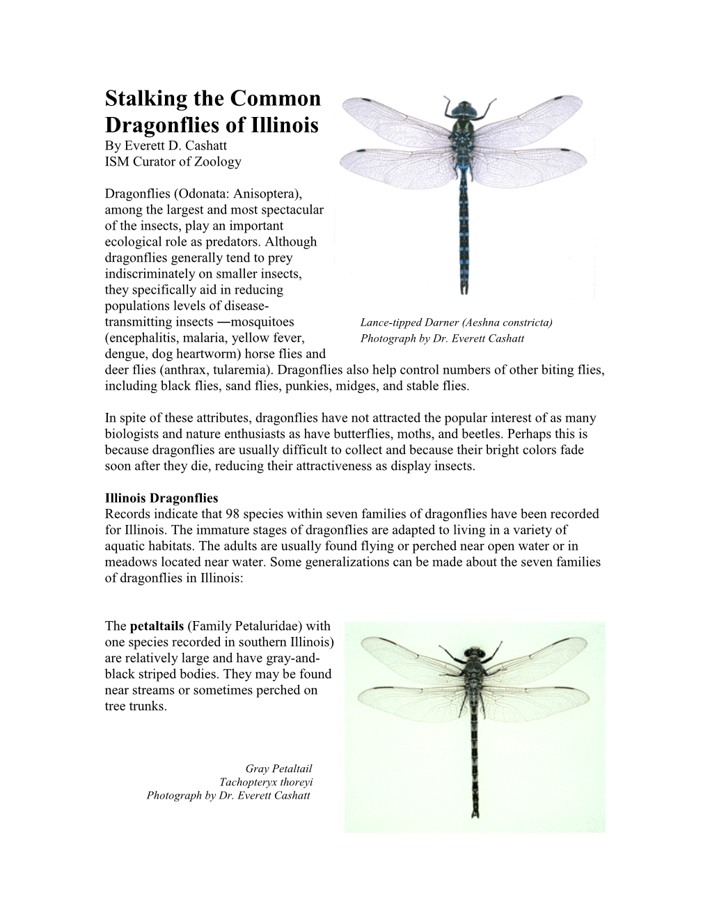 Stalking the Common Dragonflies of Illinois by Everett D