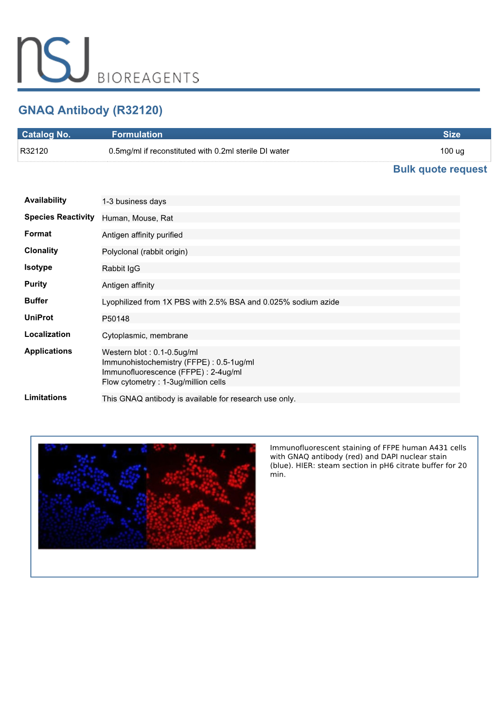 GNAQ Antibody (R32120)