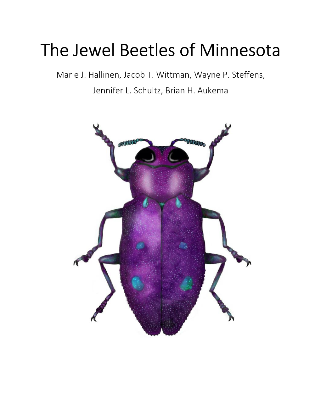 The Jewel Beetles of Minnesota