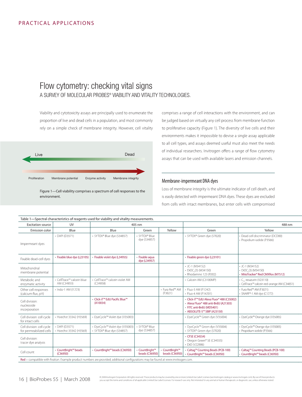 Flow Cytometry: Checking Vital Signs a Survey of Molecular Probes® Viability and Vitality Technologies