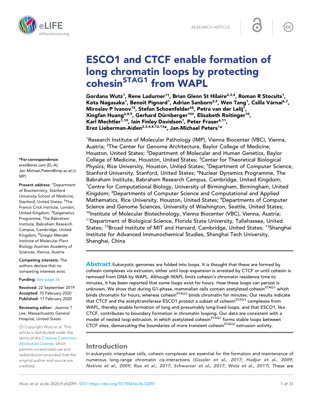 ESCO1 and CTCF Enable Formation of Long Chromatin Loops by Protecting Cohesin from WAPL