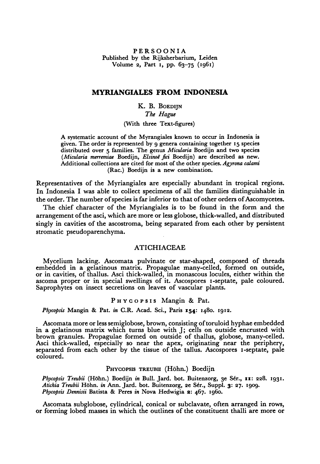 Boedijn Hague Mycelium Lacking. Pulvinate Star-Shaped, Composed