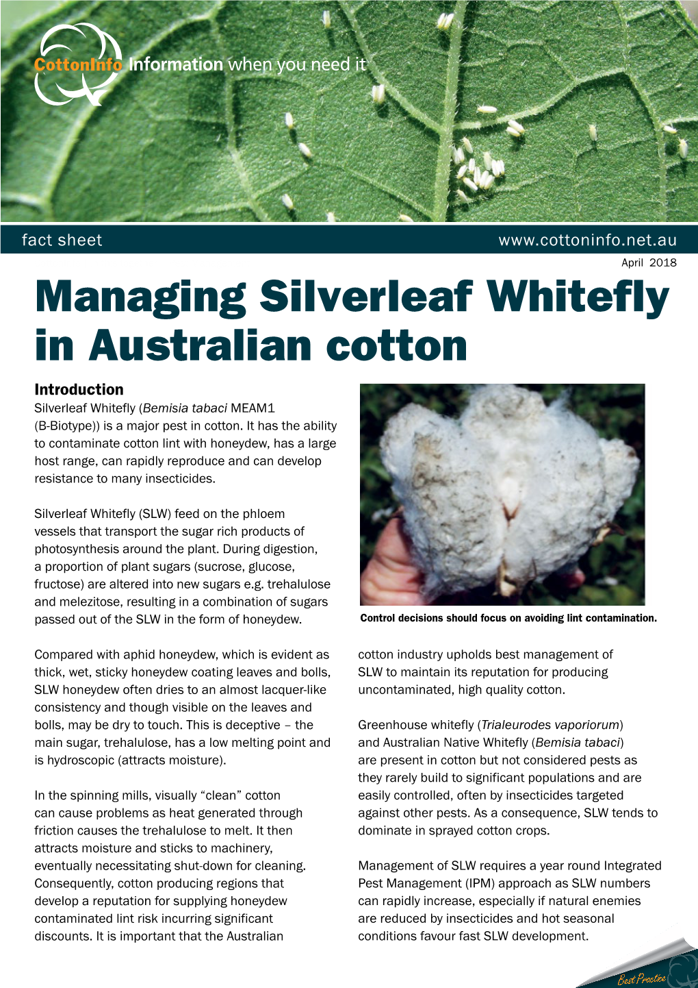 Managing Silverleaf Whitefly in Australian Cotton Introduction Silverleaf Whitefly (Bemisia Tabaci MEAM1 (B-Biotype)) Is a Major Pest in Cotton
