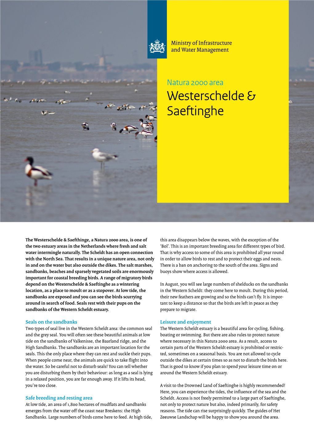 Westerschelde & Saeftinghe