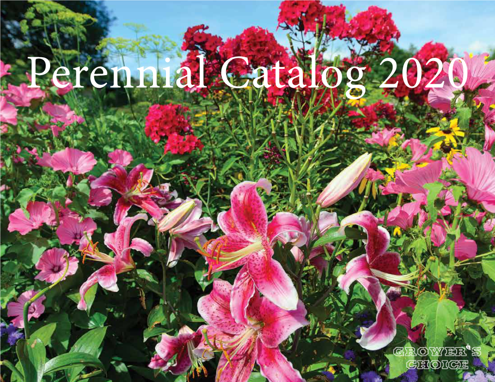 2020Perennialsgrowerschoicec