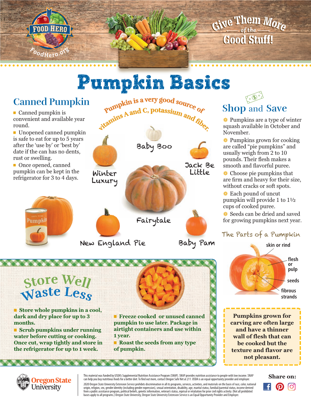 Pumpkin Basics